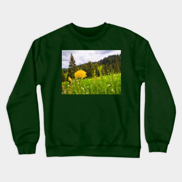 Carpathians vegetation Crewneck Sweatshirt by psychoshadow